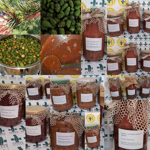 Сироп із соснових шишок, з медом і цукром